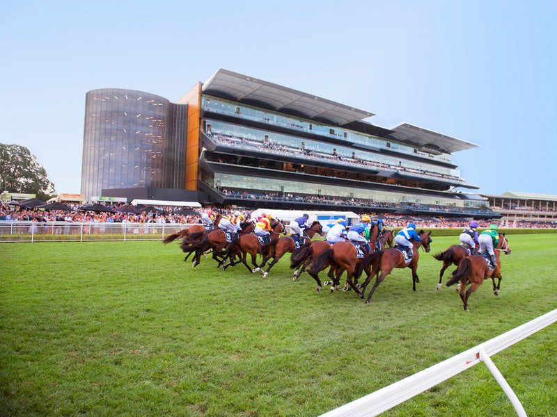 randwick racecourse